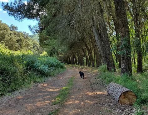 Sendero Molino del Corcho, Seville, Spain